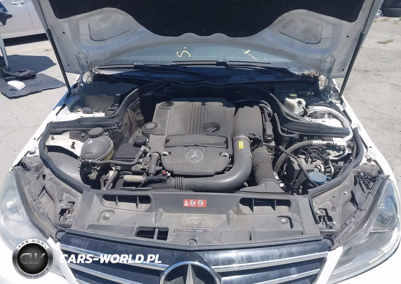 2014 Mercedes-Benz C 250 Sport VIN:WDDGF4HB6EG219561 - 10