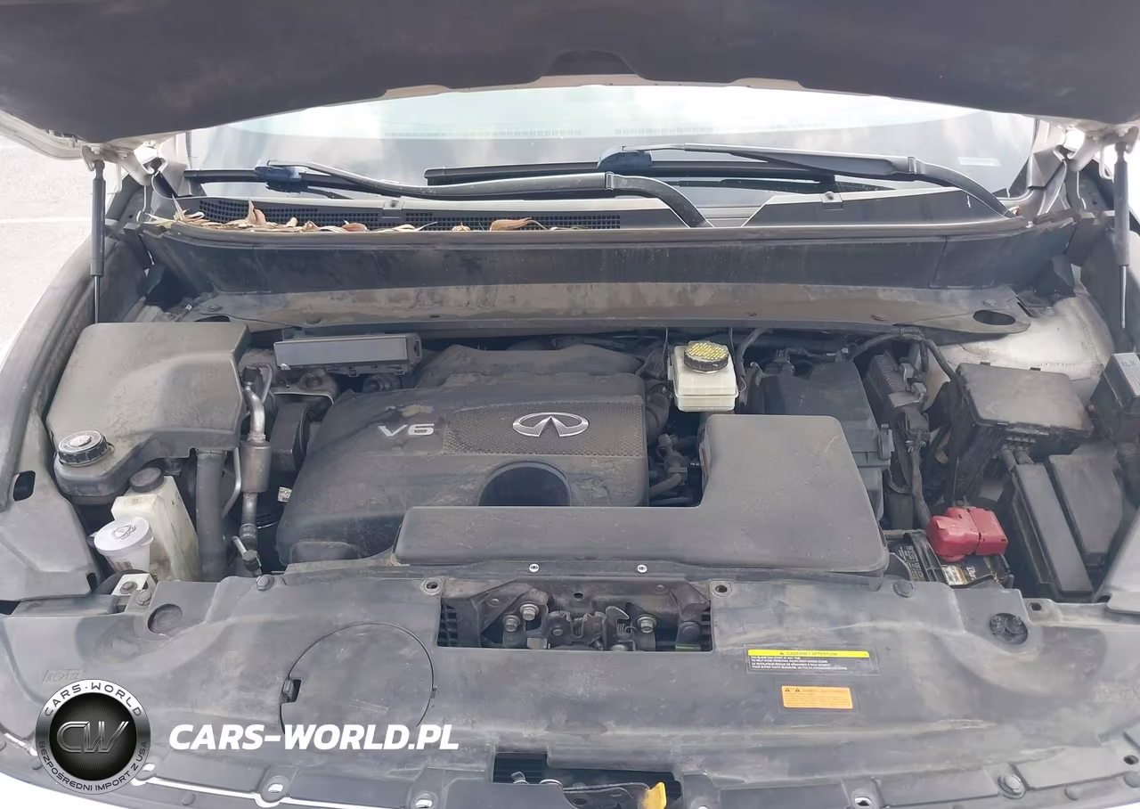 2017 Infiniti Qx60 VIN:5N1DL0MN3HC528698 - 10