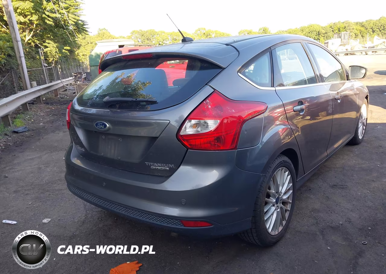 2014 Ford Focus Titanium VIN:1FADP3N25EL319950 - 4