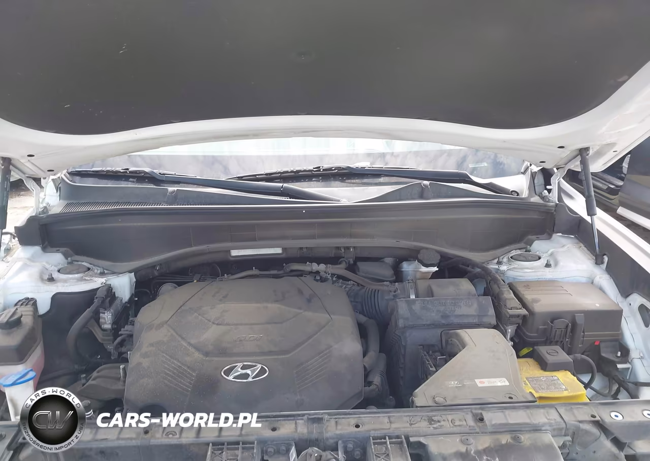 2021 Hyundai Palisade Limited VIN:KM8R54HE2MU312069 - 10