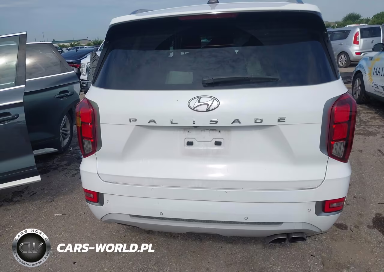 2021 Hyundai Palisade Limited VIN:KM8R54HE2MU312069 - 17