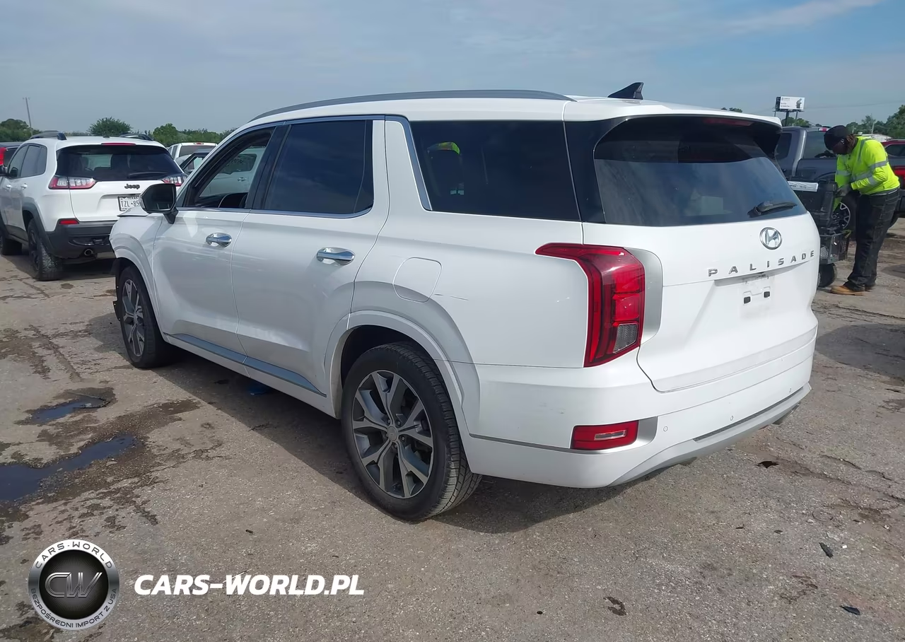 2021 Hyundai Palisade Limited VIN:KM8R54HE2MU312069 - 3