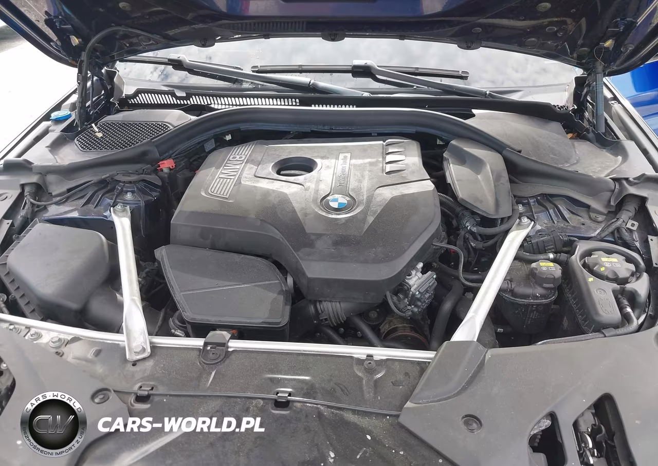 2019 BMW 530I VIN:WBAJA5C50KWW05638 - 10