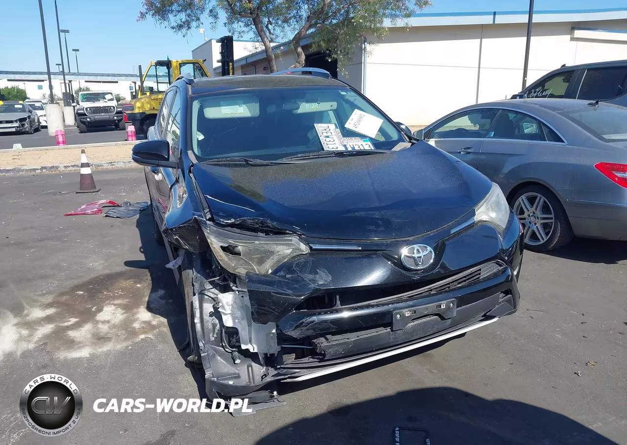 2016 Toyota Rav4 Xle VIN:2T3WFREV8GW252389 - 12