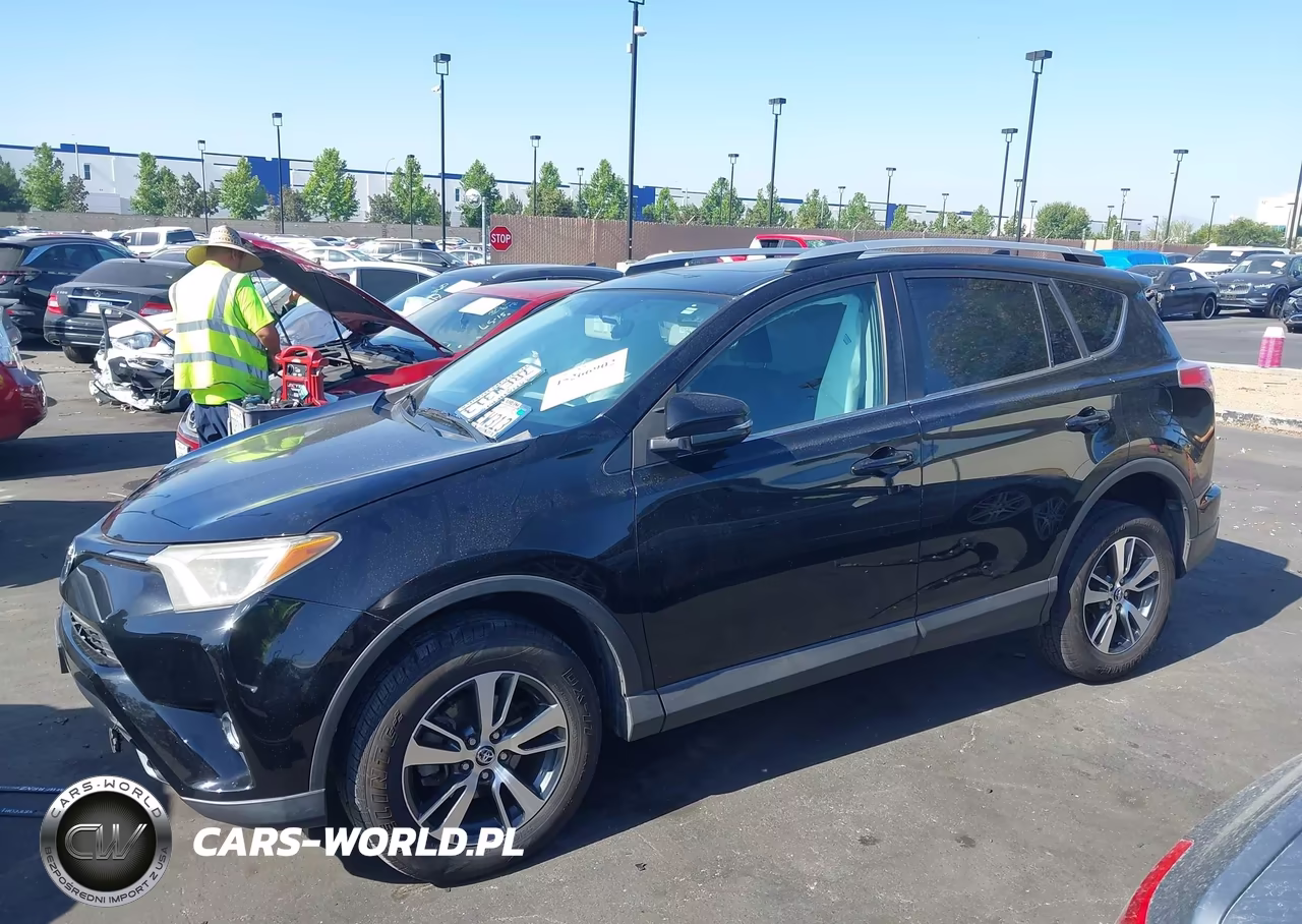 2016 Toyota Rav4 Xle VIN:2T3WFREV8GW252389 - 14