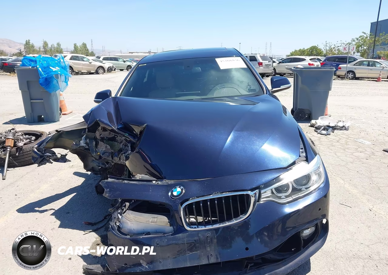 2017 BMW 430I Gran Coupe xDrive VIN:WBA4F9C38HG813306 - 13