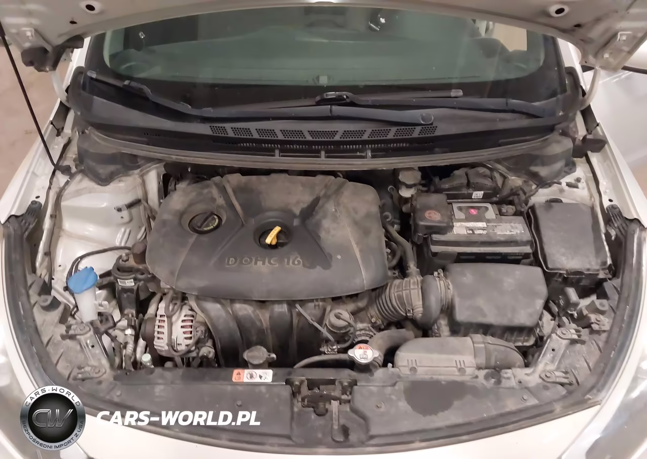 2015 Kia Forte Lx VIN:KNAFK4A6XF5336715 - 10