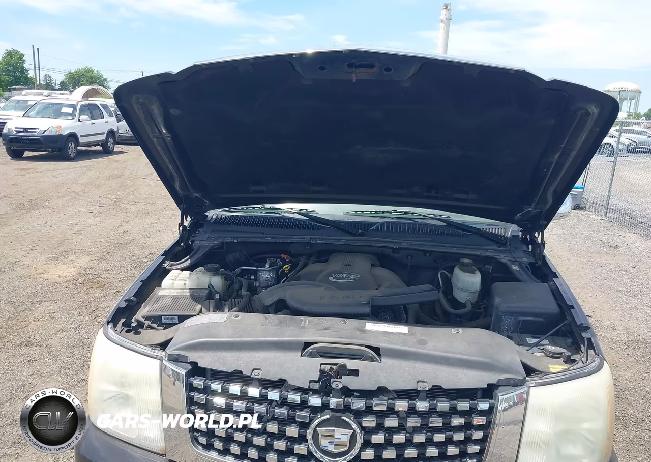 2003 Cadillac Escalade Standard VIN:1GYEK63N43R103409 - 10