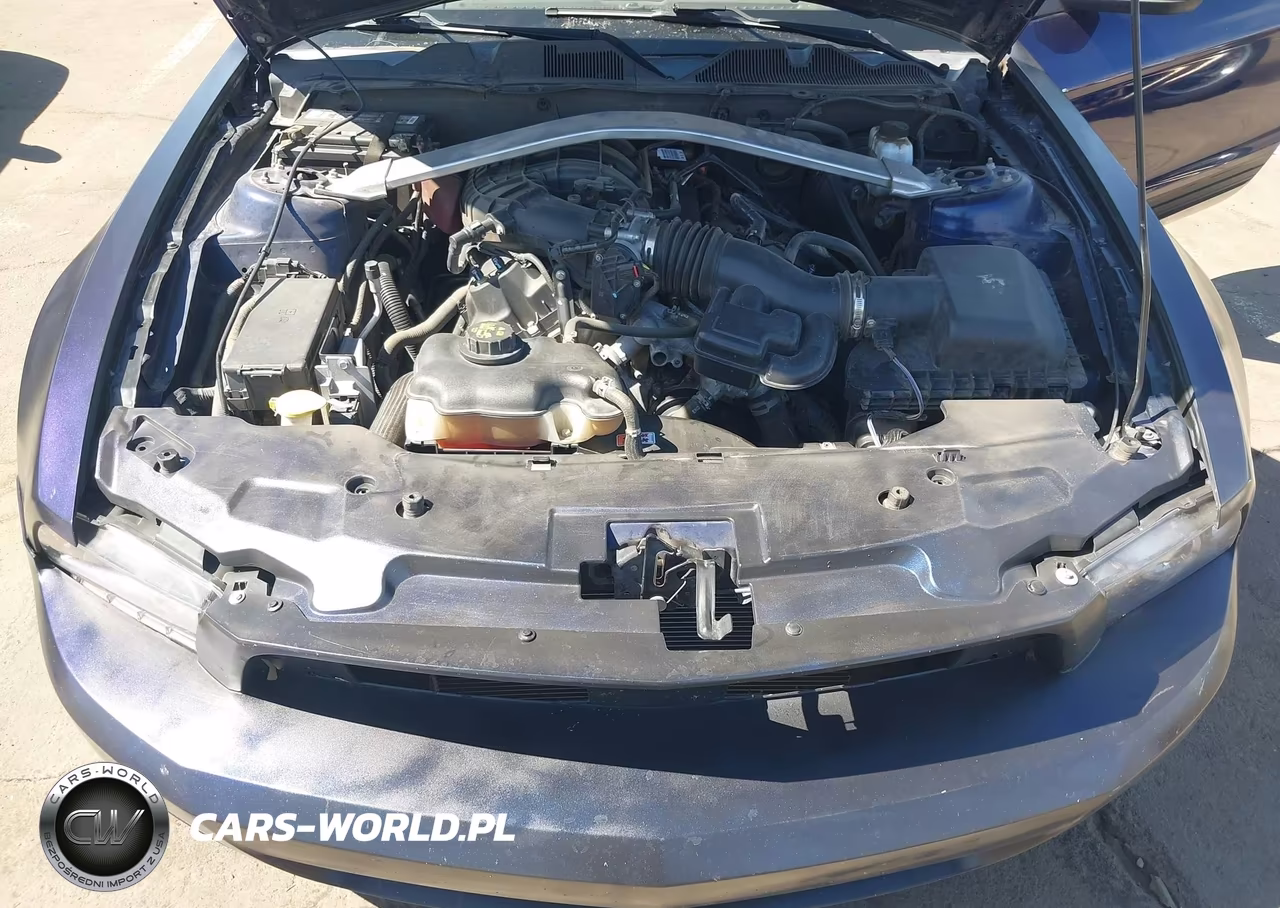 2012 Ford Mustang V6 VIN:1ZVBP8EM9C5270315 - 10