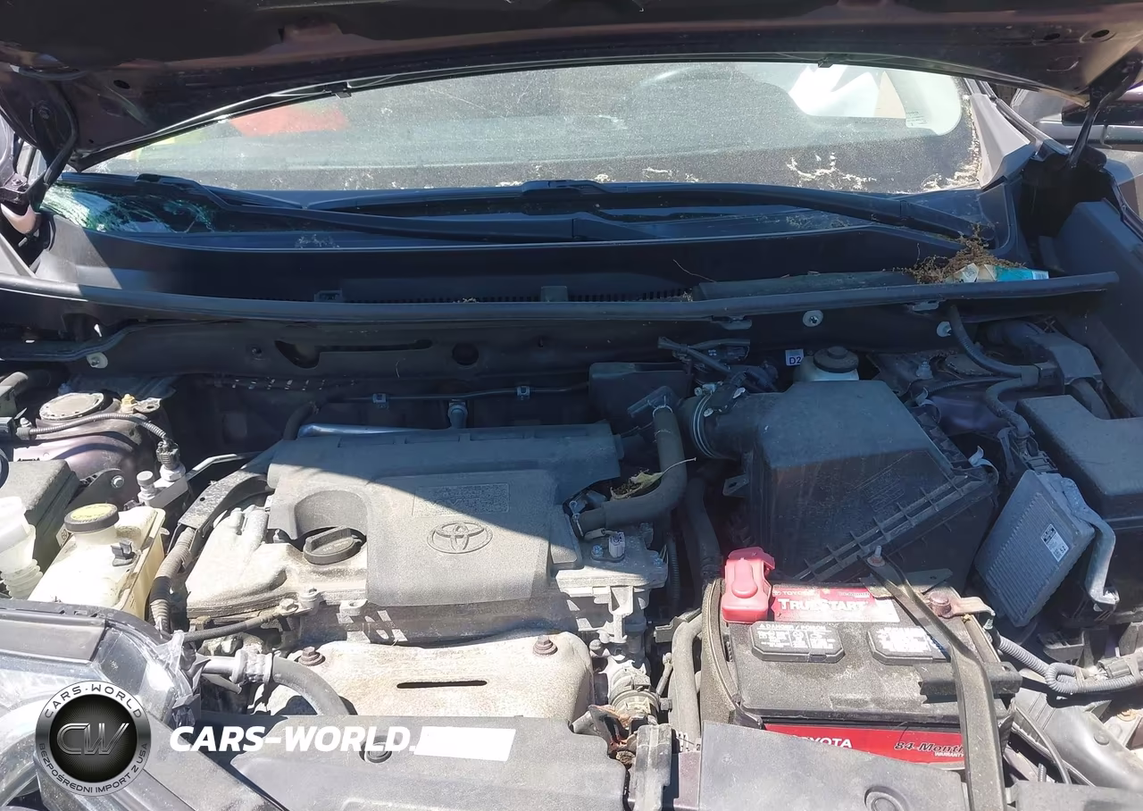 2018 Toyota Rav4 Xle VIN:2T3RFREVXJW698600 - 10