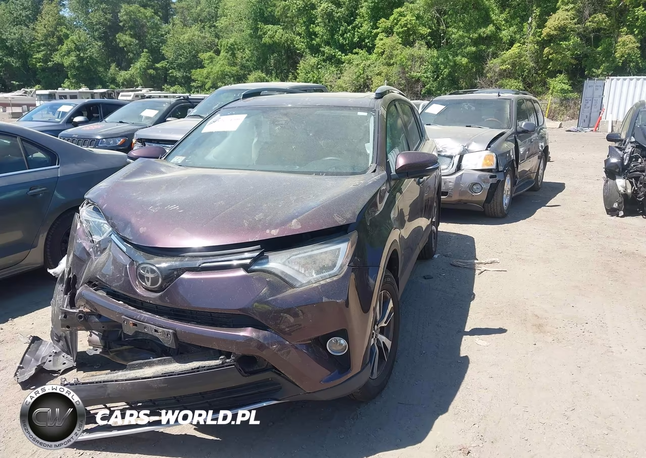 2018 Toyota Rav4 Xle VIN:2T3RFREVXJW698600 - 2