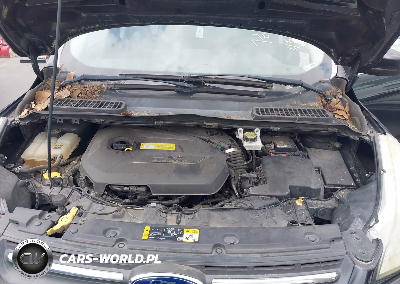 2013 Ford Escape Se VIN:1FMCU9GX5DUD84103 - 10