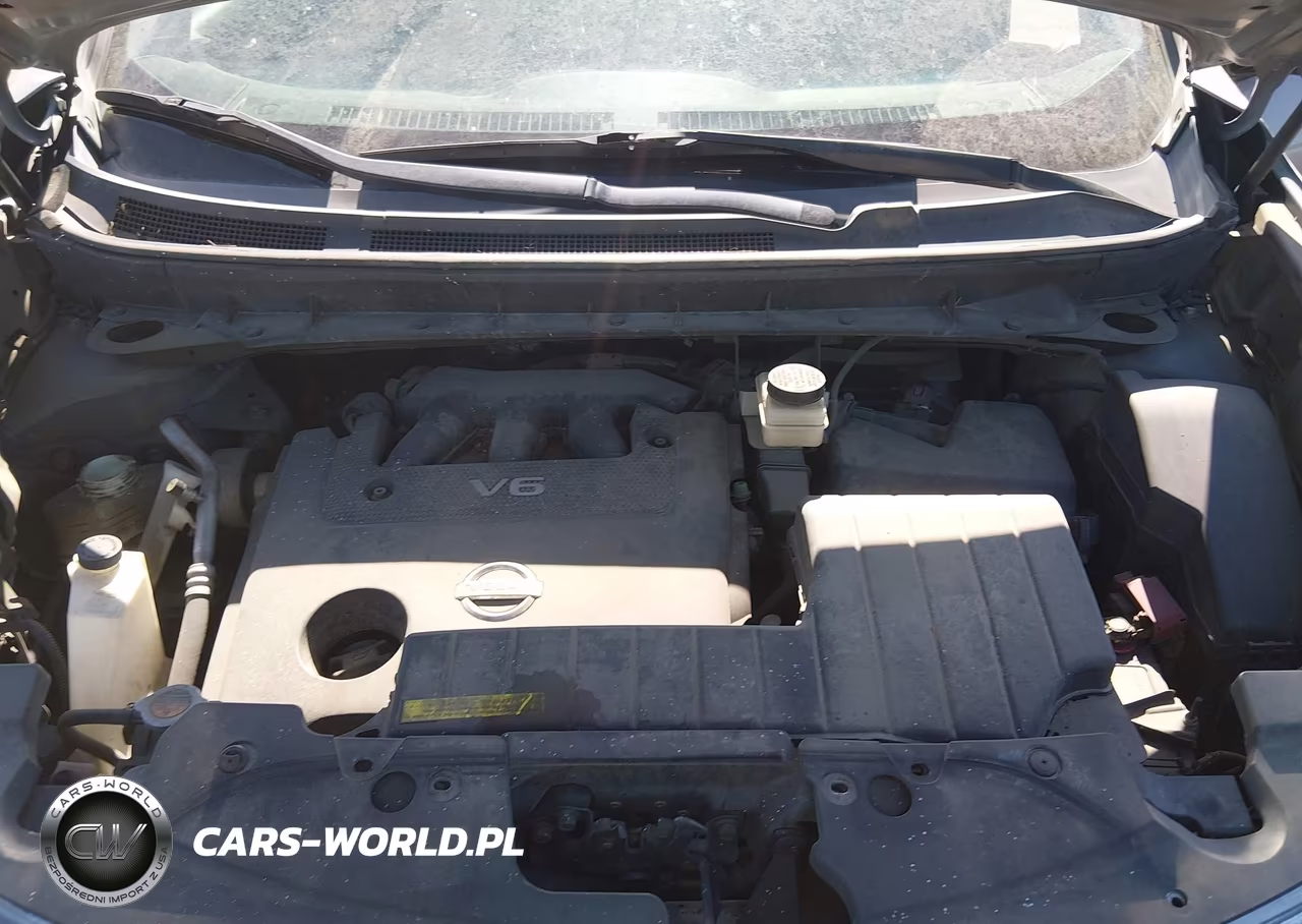 2009 Nissan Murano Sl VIN:JN8AZ18W89W213382 - 10