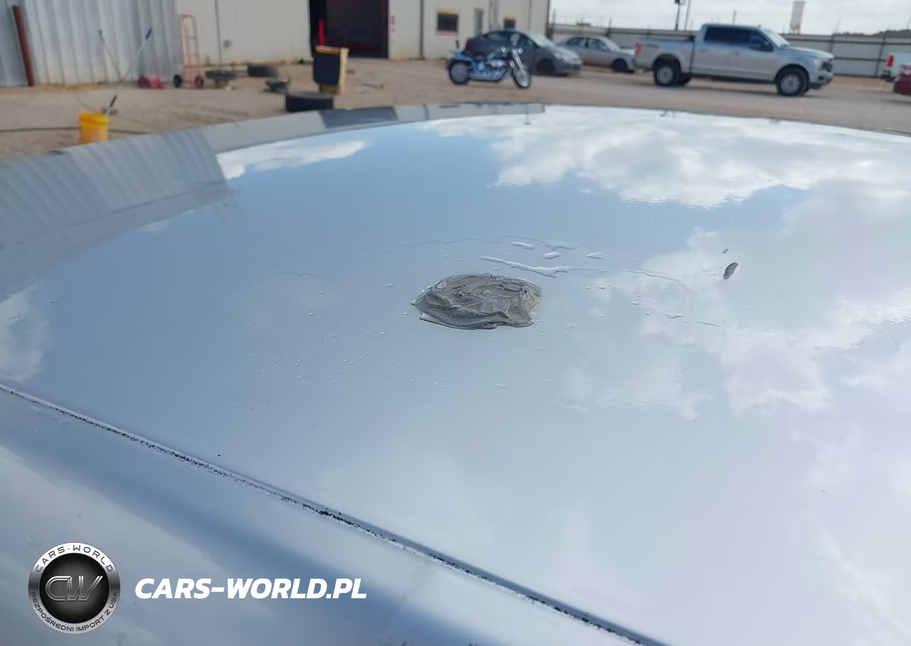 2011 Dodge Charger Police VIN:2B3CL1CT1BH574512 - 12