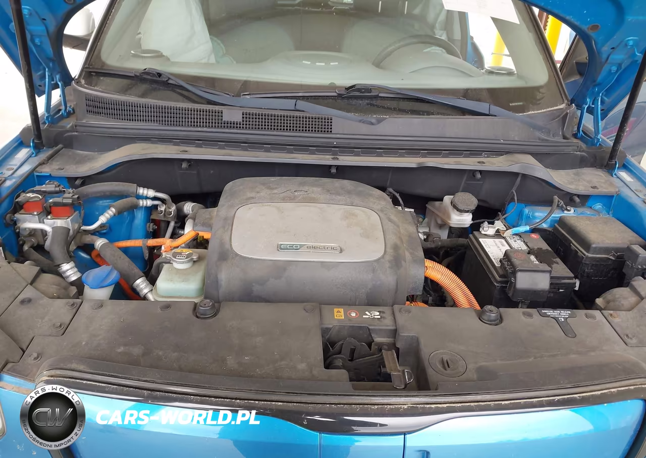 2016 Kia Soul Ev VIN:KNDJP3AE7G7013325 - 10