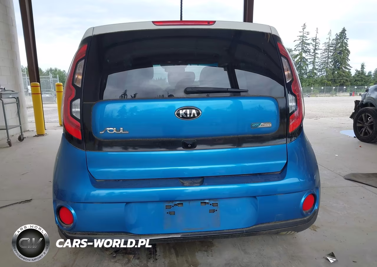 2016 Kia Soul Ev VIN:KNDJP3AE7G7013325 - 16
