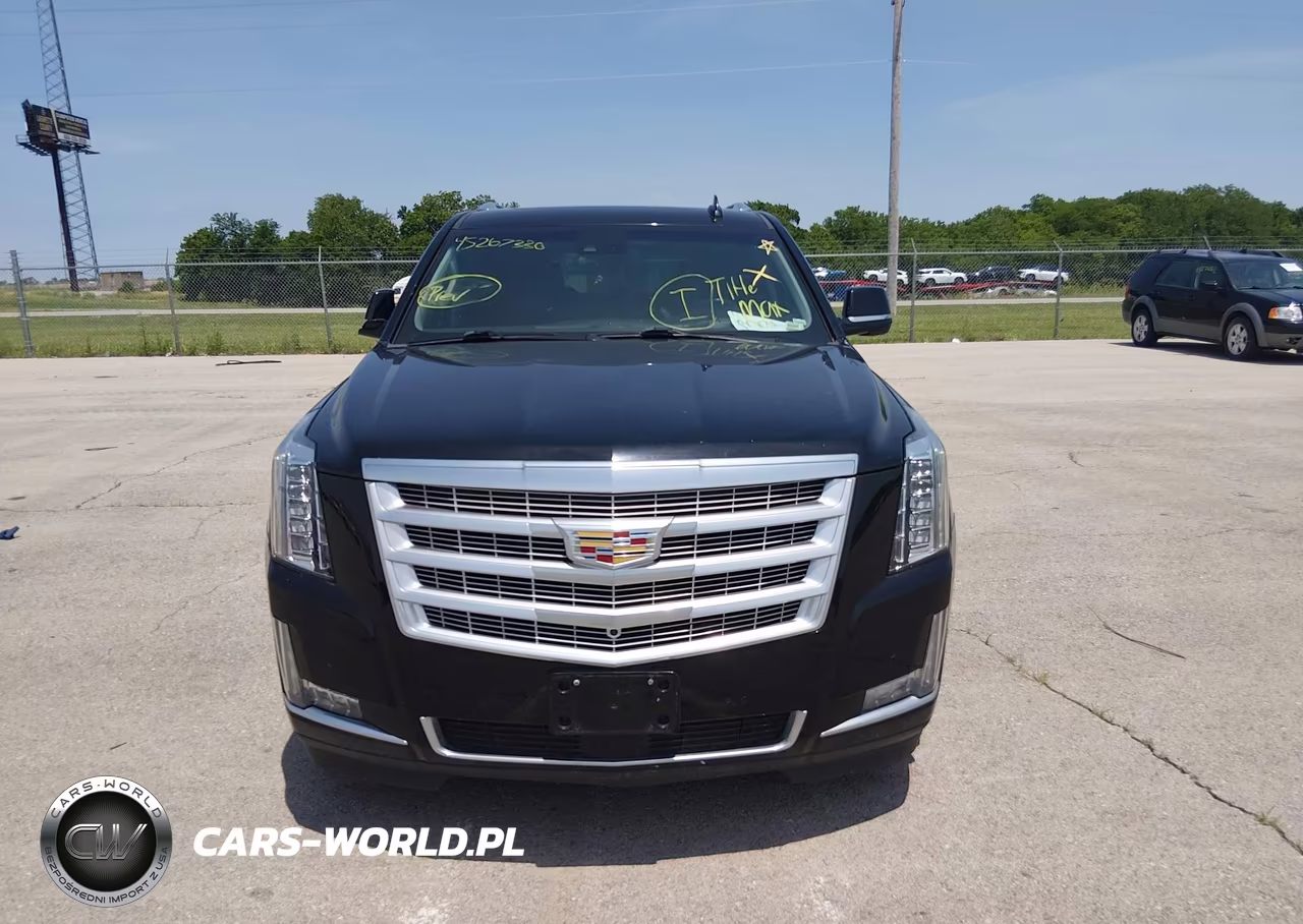 2019 Cadillac Escalade Esv Premium Luxury VIN:1GYS4JKJXKR235233 - 13