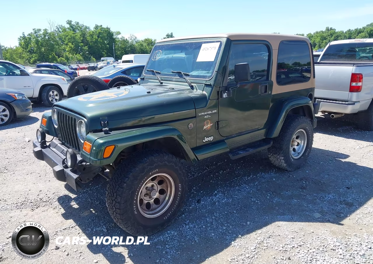 1998 Jeep Wrangler Sahara VIN:1J4FY49S8WP789183 - 2