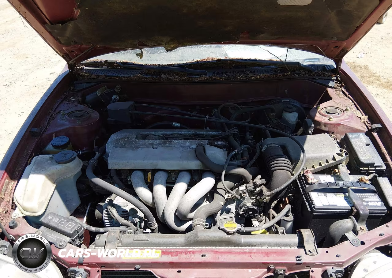 1998 Toyota Corolla Le VIN:2T1BR18E9WC053816 - 10