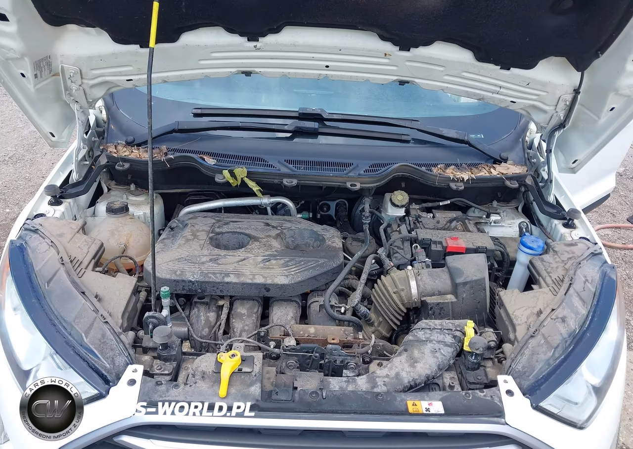 2021 Ford Ecosport Se VIN:MAJ6S3GL2MC411271 - 10