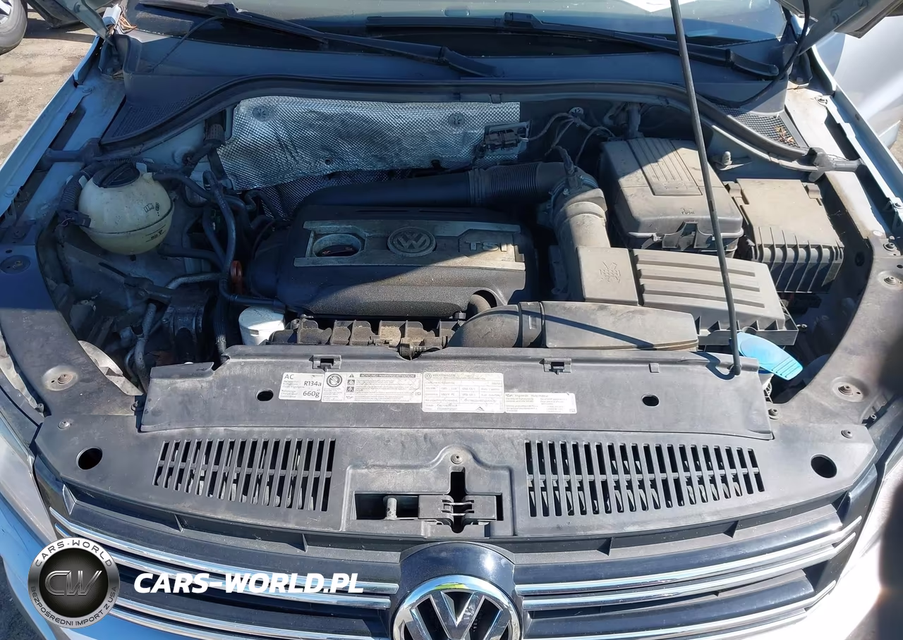 2012 Volkswagen Tiguan Le VIN:WVGAV7AX1CW577823 - 10