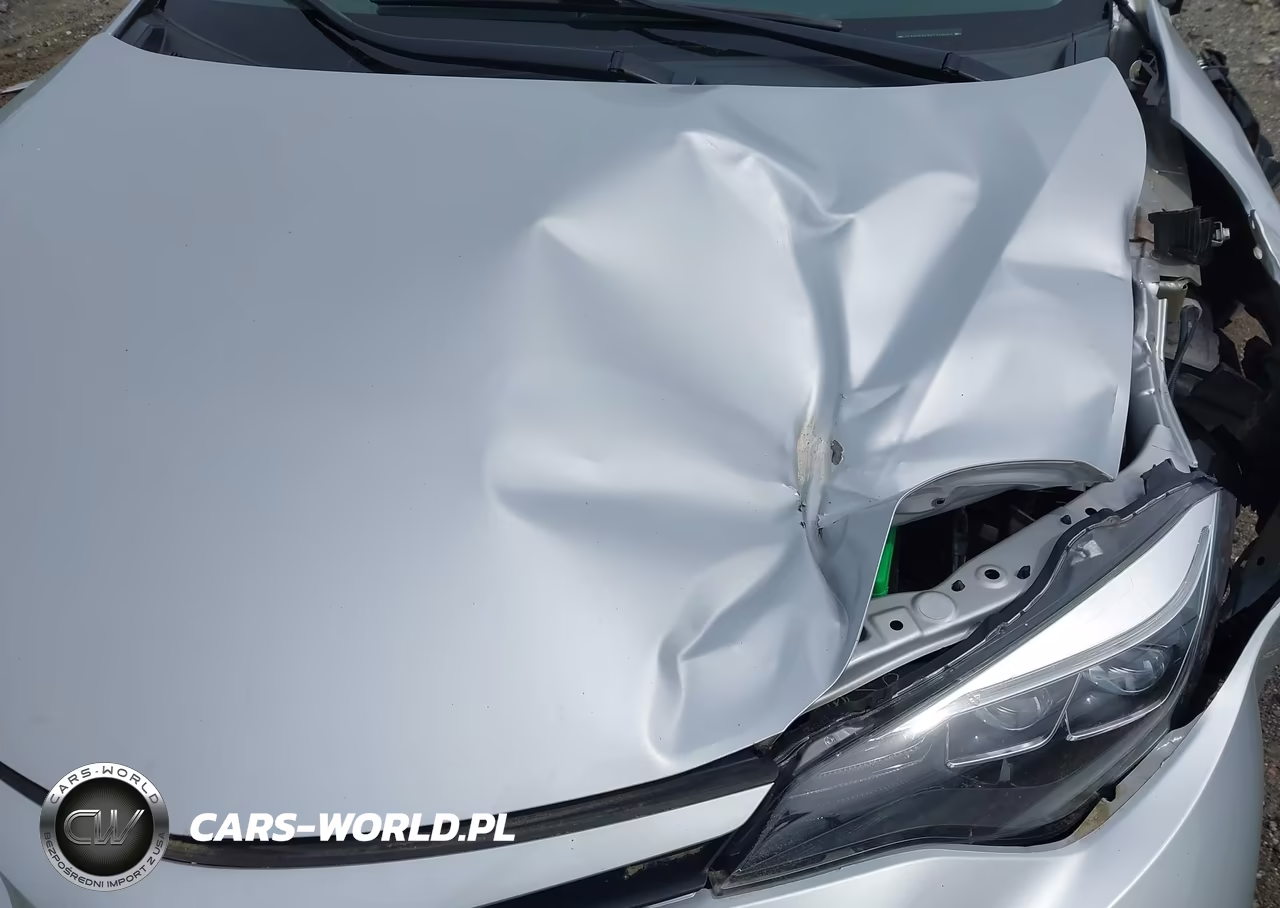 2019 Toyota Corolla Se VIN:2T1BURHE8KC149962 - 18
