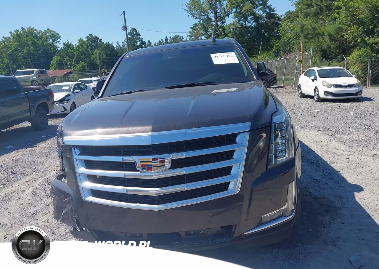 2018 Cadillac Escalade Luxury VIN:1GYS3BKJ1JR373931 - 12
