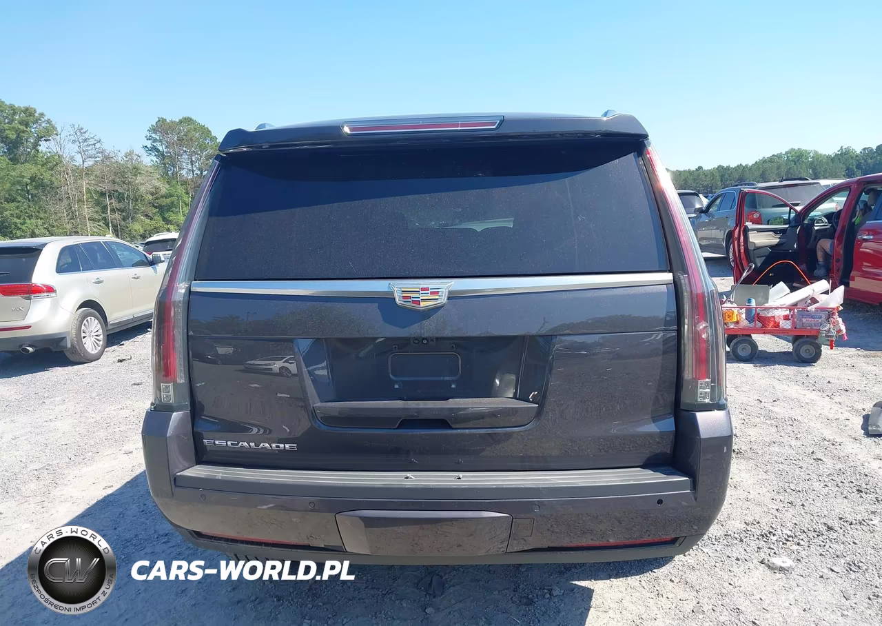 2018 Cadillac Escalade Luxury VIN:1GYS3BKJ1JR373931 - 16