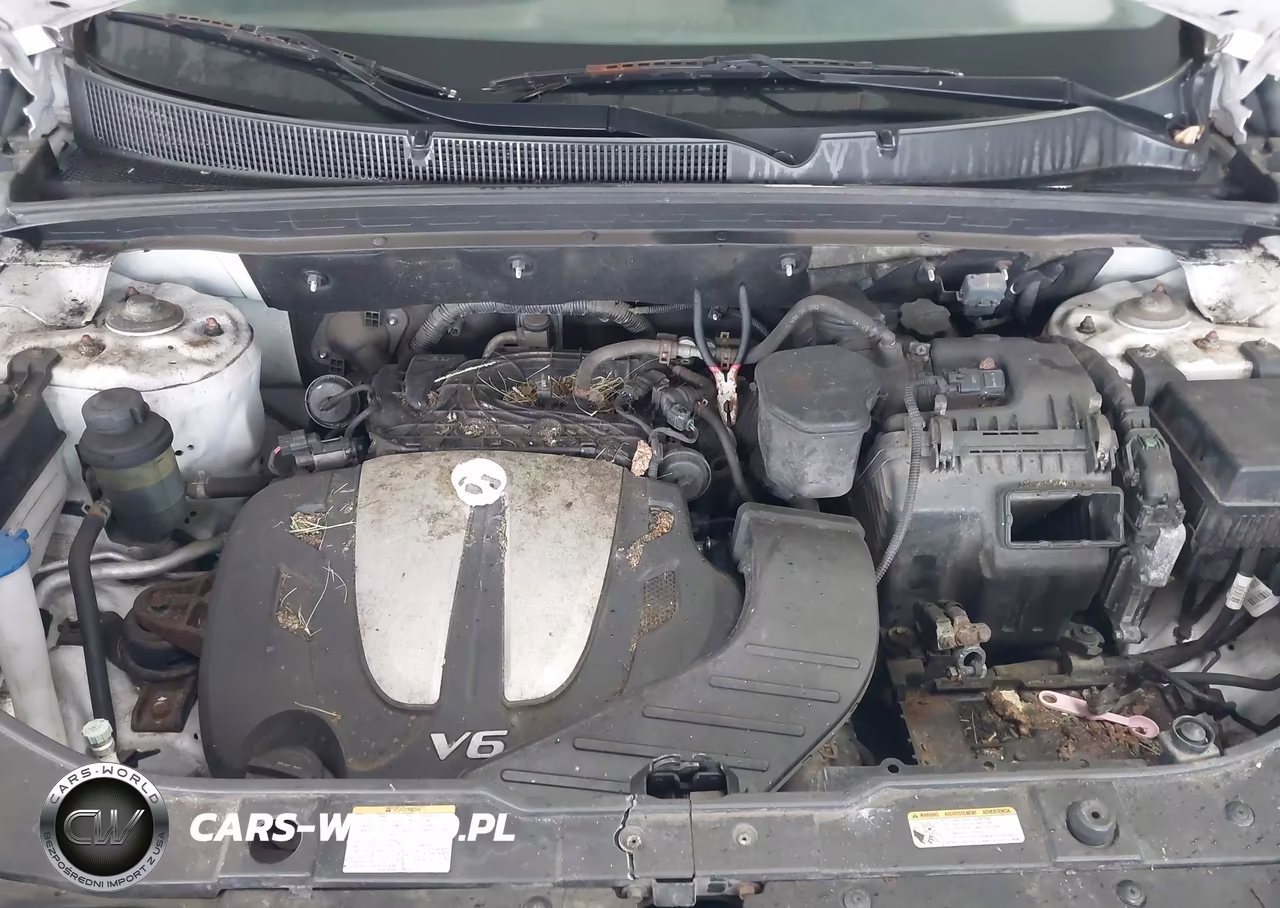 2012 Kia Sorento Lx V6 VIN:5XYKT4A25CG241784 - 10