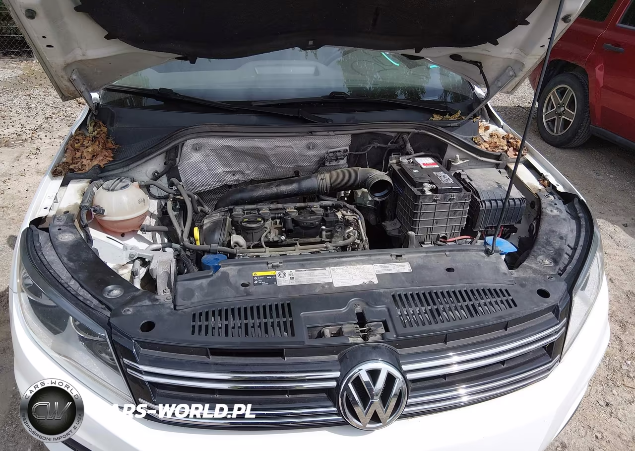2017 Volkswagen Tiguan 2.0T-2.0T S VIN:WVGAV7AX9HK004098 - 10