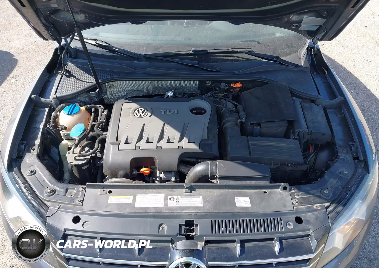 2013 Volkswagen Passat 2.0L Tdi Sel Premium VIN:1VWCN7A3XDC119160 - 10