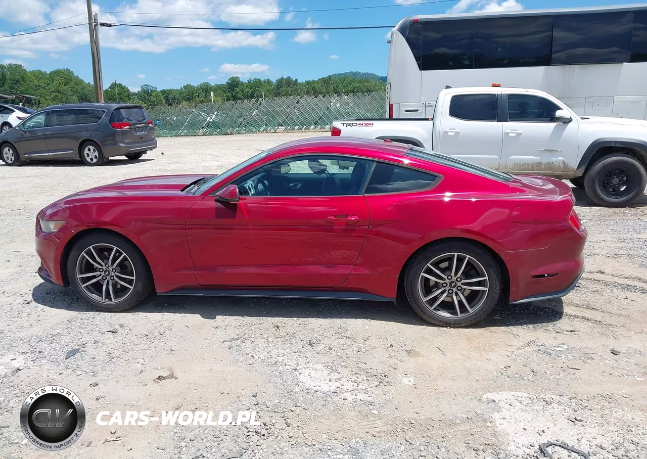 2015 Ford Mustang Ecoboost VIN:1FA6P8TH2F5368235 - 14