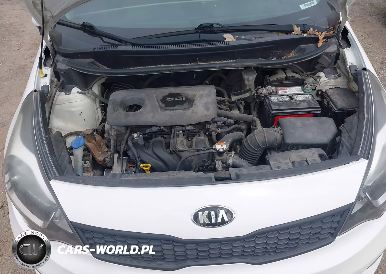 2016 Kia Rio Lx VIN:KNADM4A30G6557484 - 10