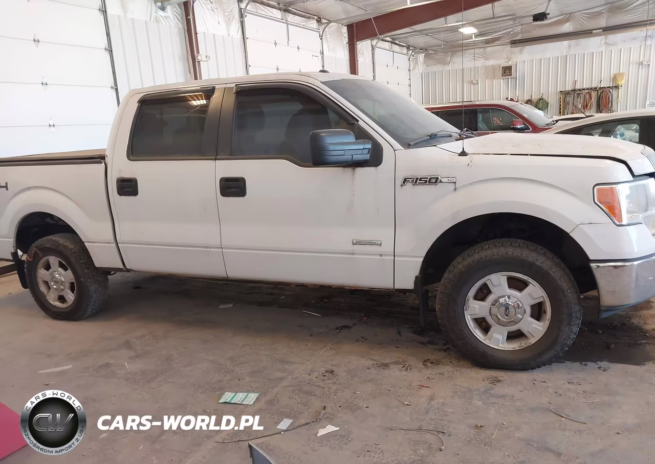 2011 Ford F-150 Xlt VIN:1FTFW1ET1BFA90275 - 13