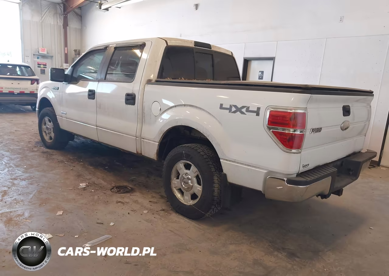 2011 Ford F-150 Xlt VIN:1FTFW1ET1BFA90275 - 3