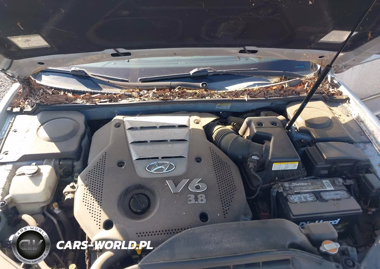 2006 Hyundai Azera Limited-Se VIN:KMHFC46F66A108092 - 10