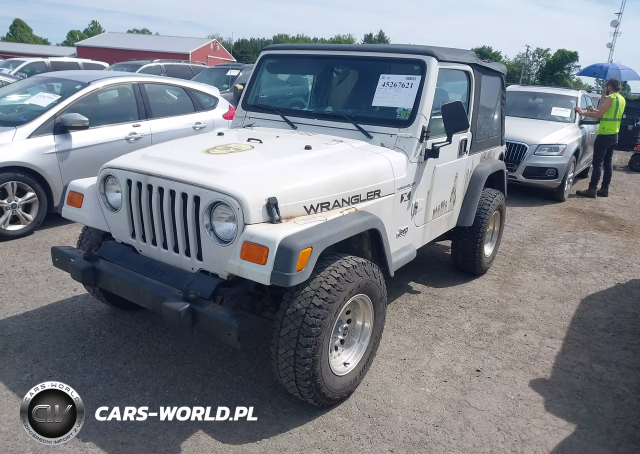 2002 Jeep Wrangler X VIN:1J4FA39S42P756609 - 2