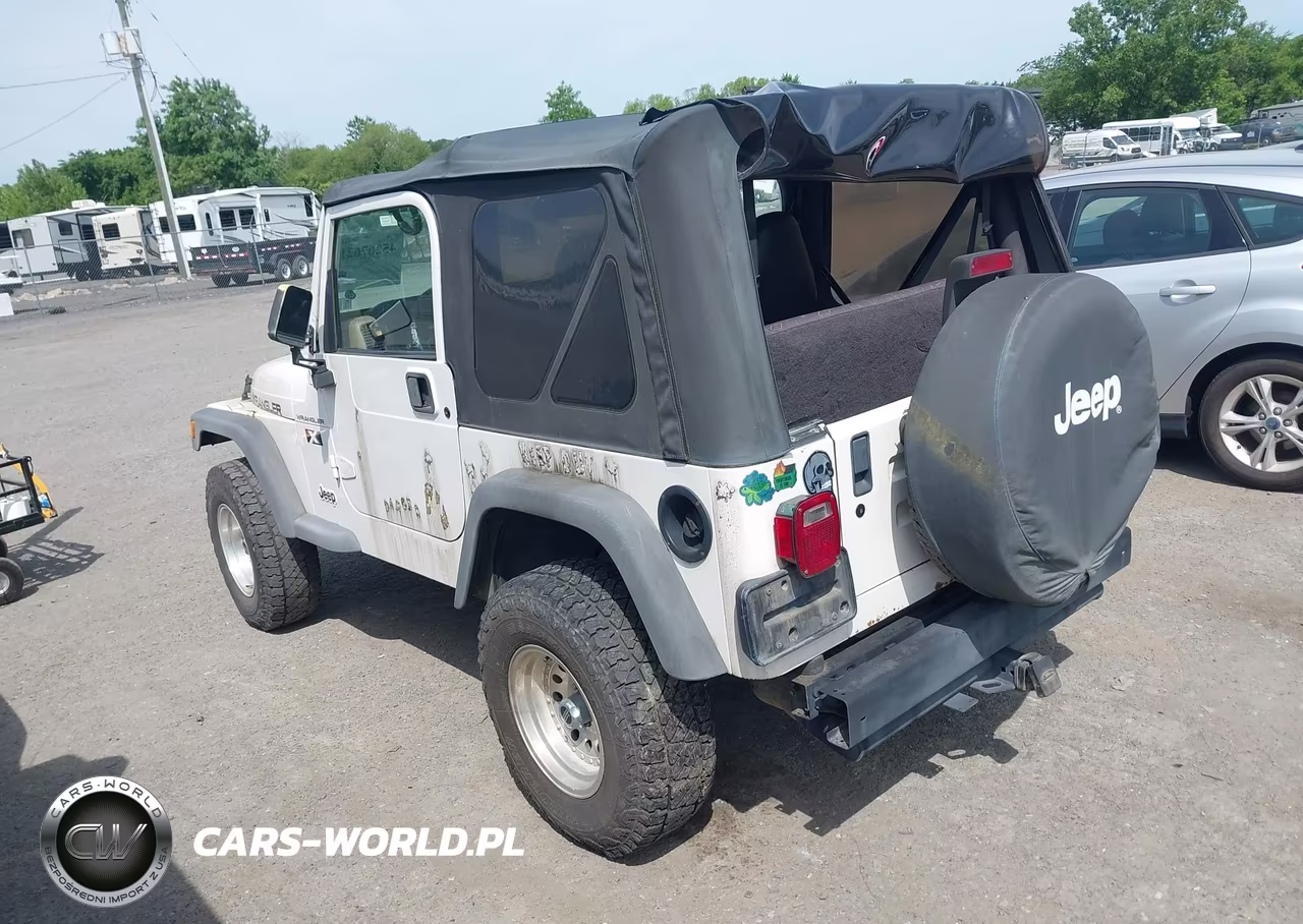 2002 Jeep Wrangler X VIN:1J4FA39S42P756609 - 3