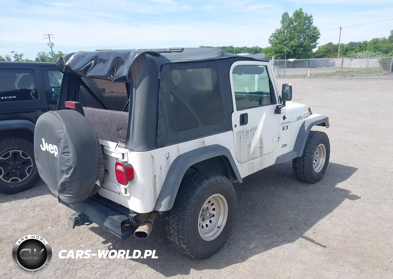2002 Jeep Wrangler X VIN:1J4FA39S42P756609 - 4