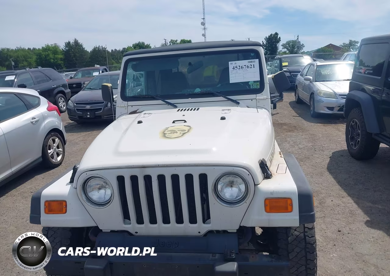 2002 Jeep Wrangler X VIN:1J4FA39S42P756609 - 6