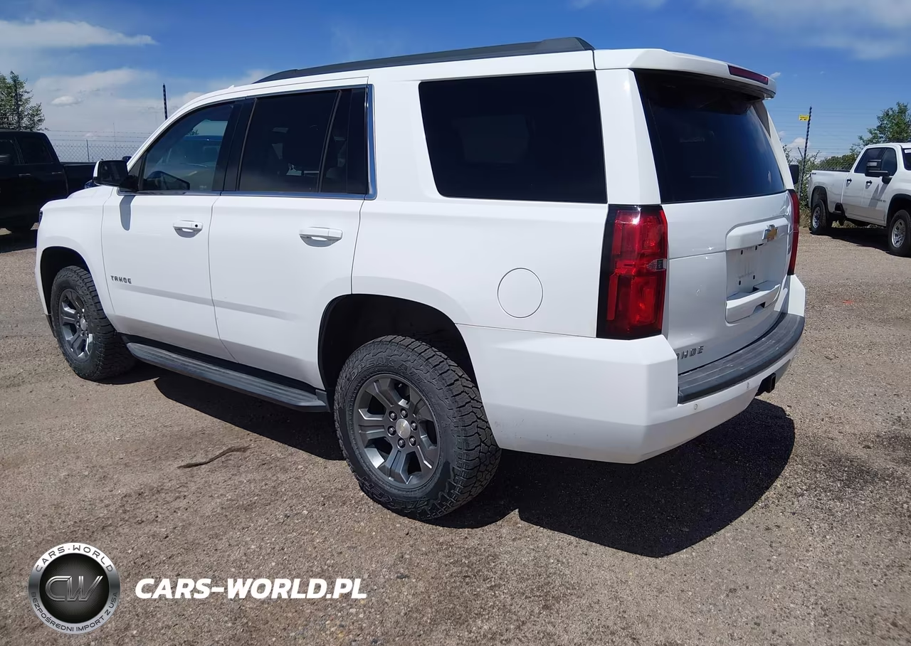 2019 Chevrolet Tahoe Ls VIN:1GNSKAEC2KR101090 - 3