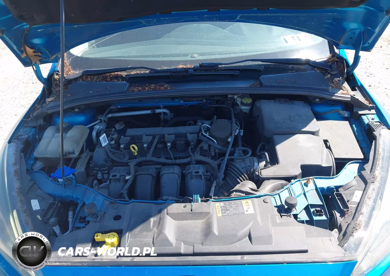 2015 Ford Focus Se VIN:1FADP3F23FL304010 - 10