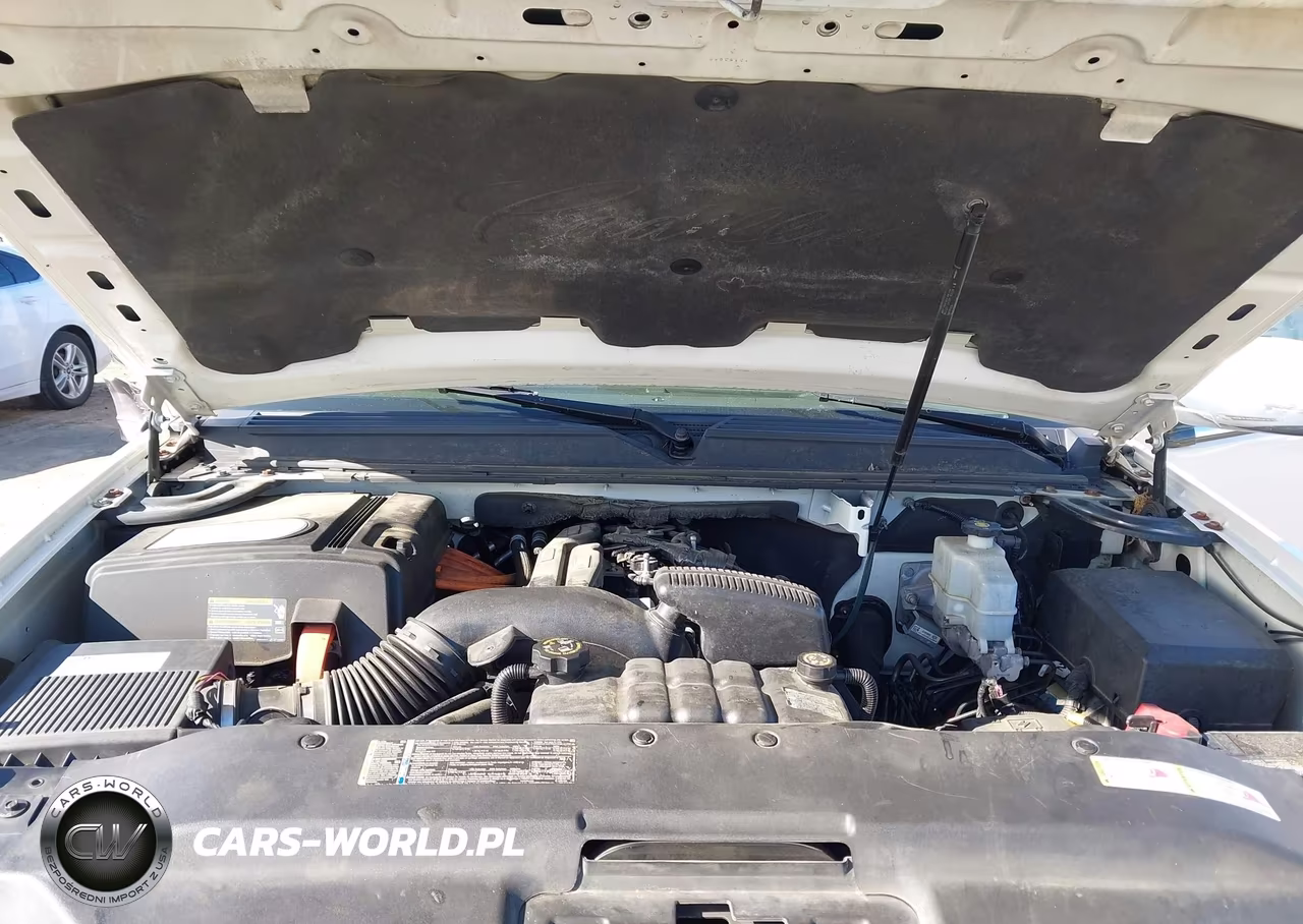 2009 Cadillac Escalade Hybrid Standard VIN:1GYFK435X9R120779 - 10