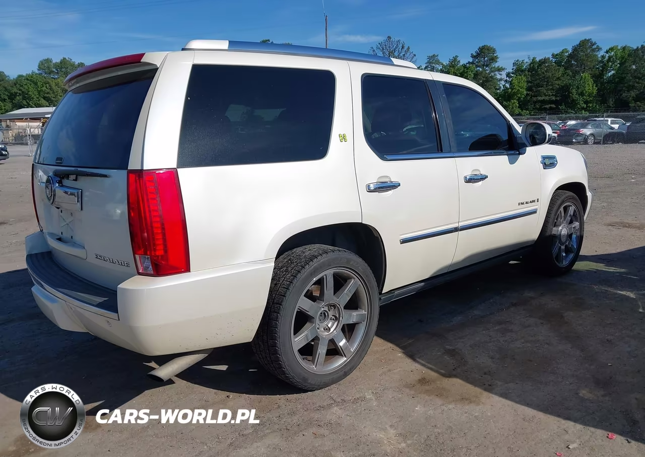 2009 Cadillac Escalade Hybrid Standard VIN:1GYFK435X9R120779 - 4