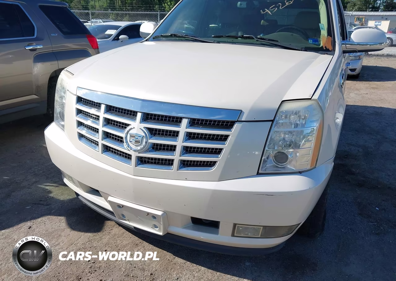 2009 Cadillac Escalade Hybrid Standard VIN:1GYFK435X9R120779 - 6
