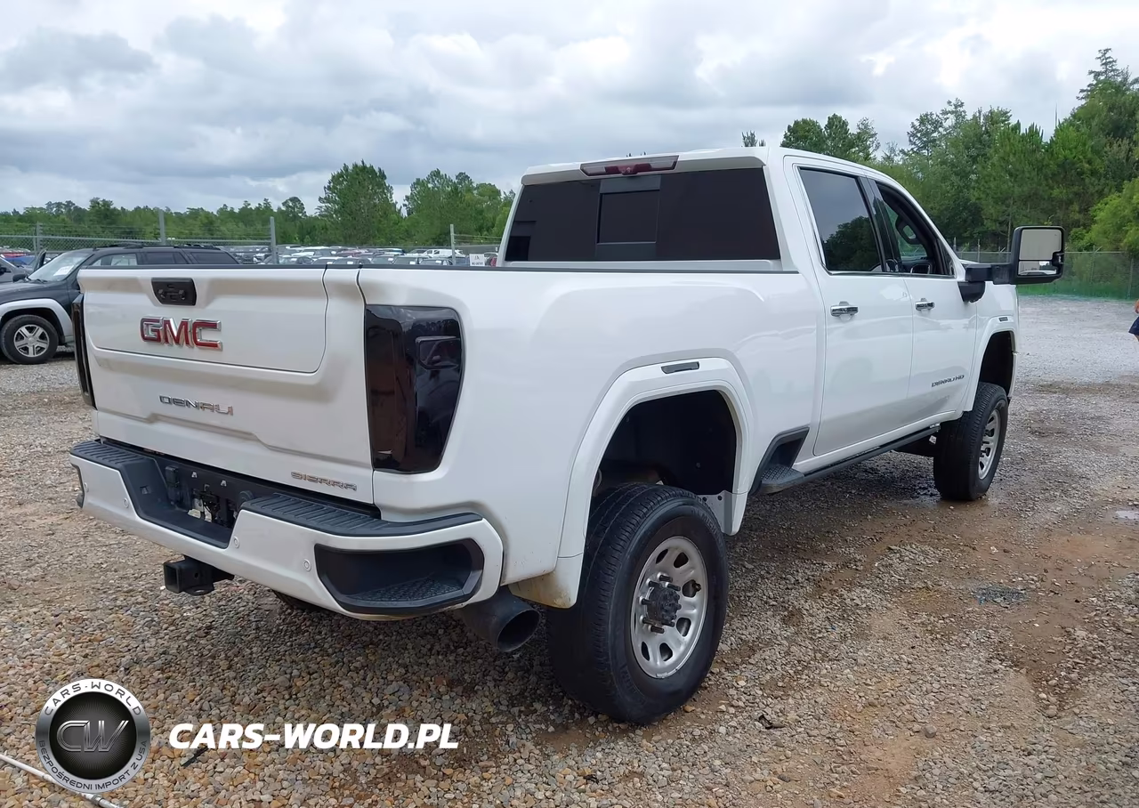 2020 GMC Sierra 2500Hd 4Wd Standard Bed Denali VIN:1GT49REY2LF180545 - 4