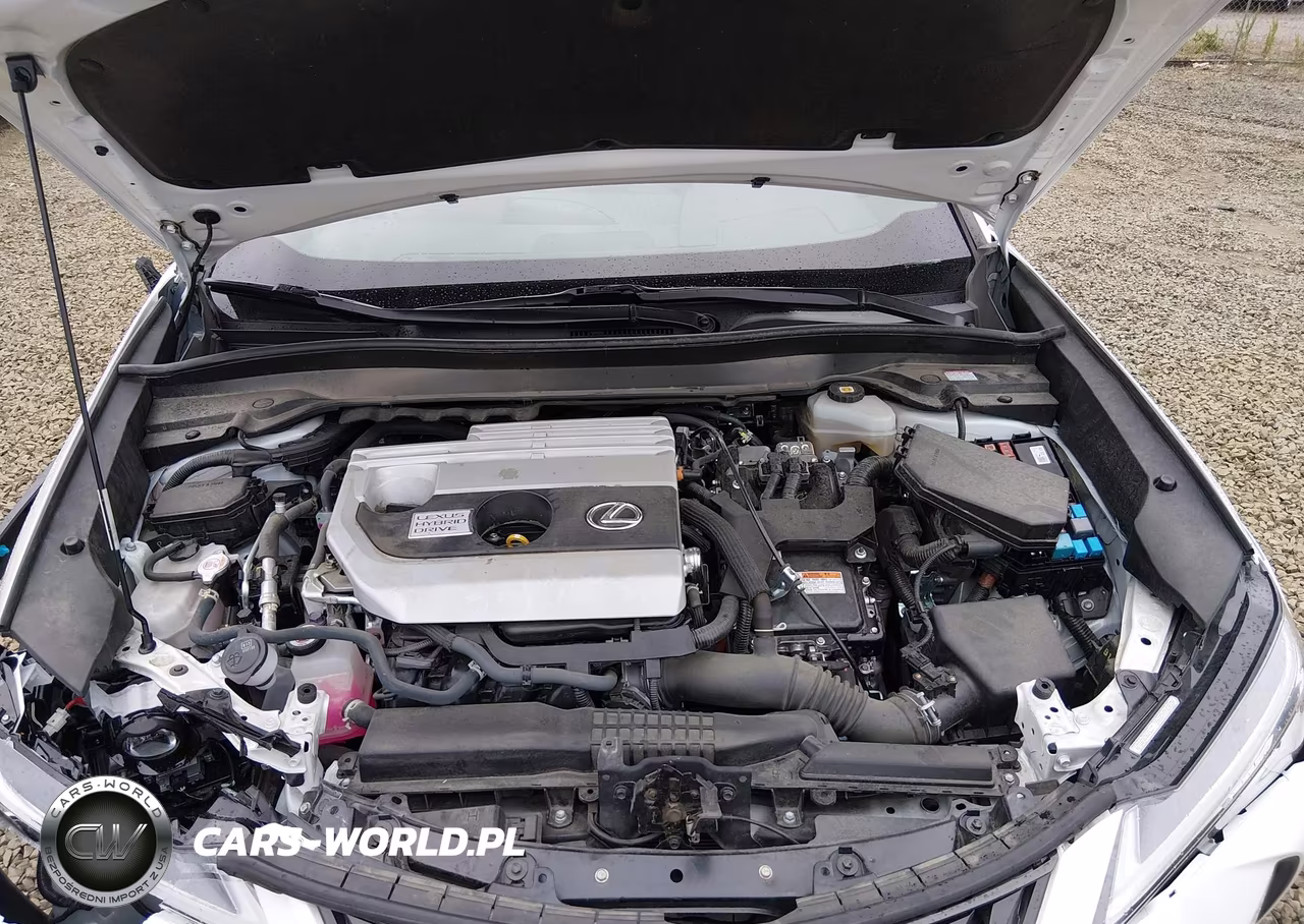 2022 Lexus Ux 250H VIN:JTHX9JBH4N2059012 - 10