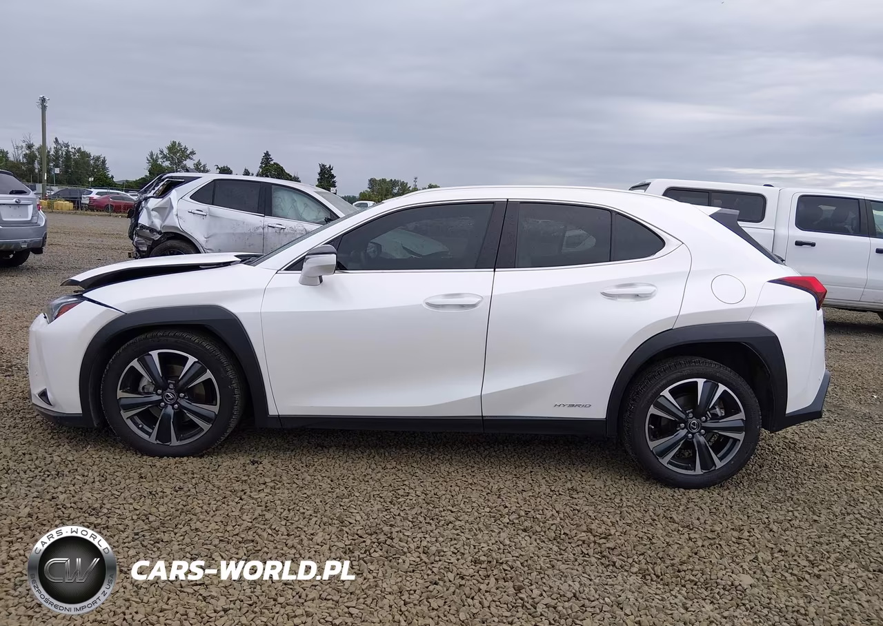 2022 Lexus Ux 250H VIN:JTHX9JBH4N2059012 - 15