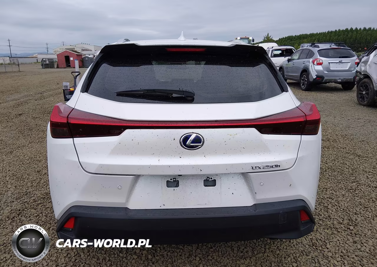 2022 Lexus Ux 250H VIN:JTHX9JBH4N2059012 - 17