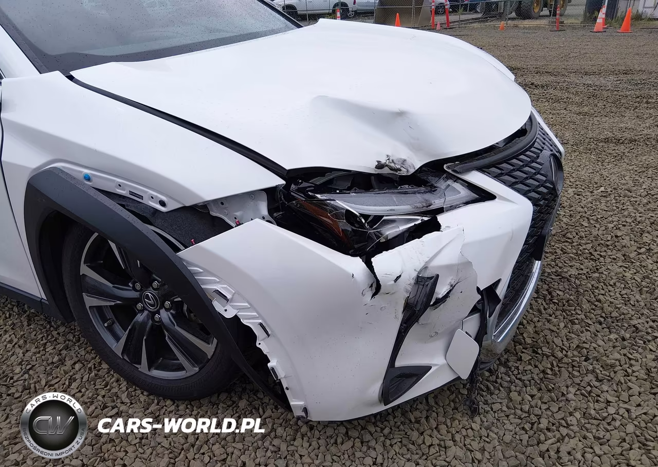 2022 Lexus Ux 250H VIN:JTHX9JBH4N2059012 - 18
